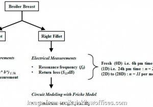 How to Wire A Switched Outlet Diagram Doorbell Switch Wiring Popular Doorbell Wiring Diagram Tutorial