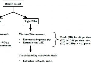How to Wire A Switched Outlet Diagram Elegant Of Electrical Switch Outlet Wiring Diagram 2019