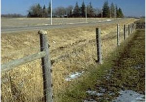 How to Wire Electric Fence Diagram Electric Fence Wikipedia