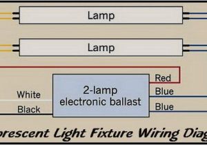 How to Wire Fluorescent Lights In Series Diagram 2 Bulb Fluorescent Light Fixture Wiring Wiring Diagram Go How to Wire Fluorescent Lights In Series Diagram 2 Bulb Fluorescent Light Fixture Wiring Wiring Diagram Go