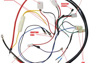 Howhit 150cc Wiring Diagram Engine Wiring Harness for Gy6 150cc Engine Howhit 150cc Wiring Diagram Engine Wiring Harness for Gy6 150cc Engine