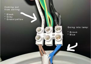 Hpm Batten Holder Wiring Diagram 1997 Mazda Protege Radio Wiring Diagram Fuse Box 98 Subaru Legacy Hpm Batten Holder Wiring Diagram 1997 Mazda Protege Radio Wiring Diagram Fuse Box 98 Subaru Legacy