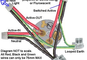 Hpm Batten Holder Wiring Diagram Hpm Batten Holder Wiring Diagram Hpm Batten Holder Wiring Diagram Hpm Batten Holder Wiring Diagram