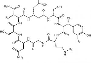 Hsd Spindle Wiring Diagram A Novel Actin Binding Drug with In Vivo Efficacy Antimicrobial Hsd Spindle Wiring Diagram A Novel Actin Binding Drug with In Vivo Efficacy Antimicrobial