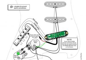 Hss Pickup Wiring Diagram Wiring Diagram Further Fender Stratocaster On Wiring Get Free Image