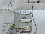 Hss Wiring Diagram Strat Fender Standard Strat Wiring Diagram Wiring Diagram Img