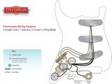 Hss Wiring Diagram Strat Strat Wiring Diagram Wiring Diagram Name