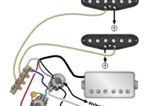 Hss Wiring Diagram Strat Stratocaster Wiring Kit Wiring Diagram Option Hss Wiring Diagram Strat Stratocaster Wiring Kit Wiring Diagram Option