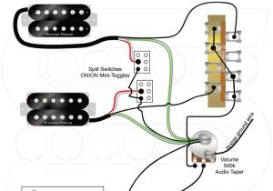 Humbucker Wiring Diagram 3 Way Switch Seymour Duncan Wiring Diagram 2 Humbucker 3 Way Blade Humbucker Wiring Diagram 3 Way Switch Seymour Duncan Wiring Diagram 2 Humbucker 3 Way Blade