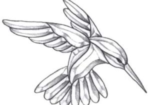 Hummingbird Wiring Diagram Pait Stained Glass Patterns Hummingbird Wiring Diagram Database Hummingbird Wiring Diagram Pait Stained Glass Patterns Hummingbird Wiring Diagram Database