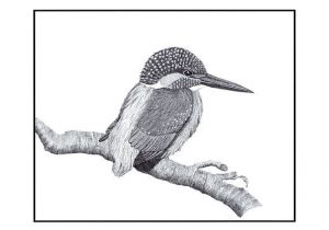 Hummingbird Wiring Diagram Wiringschematic197220ftsafari1972airstreamwiringdiagram23 Wiring Hummingbird Wiring Diagram Wiringschematic197220ftsafari1972airstreamwiringdiagram23 Wiring