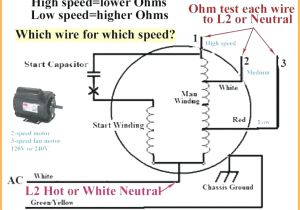 Hunter 3 Speed Fan Control and Light Dimmer Wiring Diagram Hunter 3 Speed Fan Switch Wiring Diagram Dans Hunter 3 Speed Fan Hunter 3 Speed Fan Control and Light Dimmer Wiring Diagram Hunter 3 Speed Fan Switch Wiring Diagram Dans Hunter 3 Speed Fan