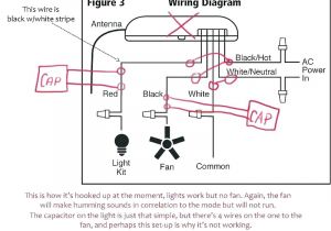 Hunter Ceiling Fan Light Kit Wiring Diagram Hunter Fan 85112 Wiring Diagram Wiring Diagram Operations