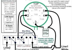Hunter Ceiling Fan Speed Switch Wiring Diagram Wiring A Ceiling Fan with 4 Wires Shopngo Co