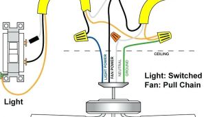 Hunter Ceiling Fans Wiring Diagram Hampton Bay Ceiling Fan Switch Wiring Diagram Colchicine Club