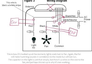 Hunter Fan Light Switch Wiring Diagram Hunter Fan Switch Pinba Hunter Fan Light Switch Wiring Diagram Hunter Fan Switch Pinba
