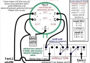 Hunter Fan Speed Switch Wiring Diagram Ceiling Fan Speed Control Switch Wiring Diagram Inspirational Fan Hunter Fan Speed Switch Wiring Diagram Ceiling Fan Speed Control Switch Wiring Diagram Inspirational Fan