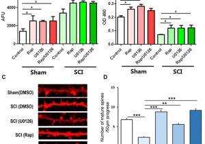Icamera 1000 Wiring Diagram Icamera 1000 Wiring Diagram Inspirational Janpavelka Split Charge Icamera 1000 Wiring Diagram Icamera 1000 Wiring Diagram Inspirational Janpavelka Split Charge