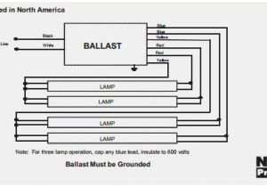 Icn 4p32 N Wiring Diagram Icn 4p32 N Wiring Diagram Sample Wiring Collection Icn 4p32 N Wiring Diagram Icn 4p32 N Wiring Diagram Sample Wiring Collection