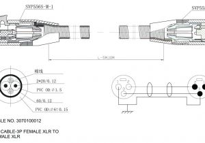 Immersion Heater with thermostat Wiring Diagram 220 Water Heater Electric Water Heater Wiring Requirements Creative