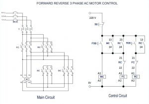 Immersion Switch Wiring Diagram Immersion Heater Wiring Diagram Davestevensoncpa Com