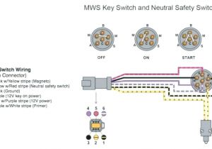 Indak Key Switch Wiring Diagram Indak Ignition Switch Es 6 Terminal 7 Key Diagram Filbookfest Info