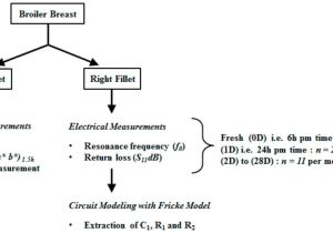 Industrial Electrical Wiring Diagram Symbols Wiring Diagram Speed Ceiling Fan Switch Wiring Diagram Industrial Electrical Wiring Diagram Symbols Wiring Diagram Speed Ceiling Fan Switch Wiring Diagram