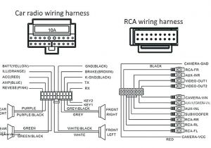 Infinity Stereo Wiring Diagram Eclip Radio Wiring Eastofengland Co