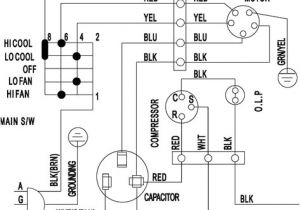 Ingersoll Rand Air Compressor Wiring Diagram 3 Phase Unique Fan Relay Wiring Diagram Hvac Diagram Diagramsample Ingersoll Rand Air Compressor Wiring Diagram 3 Phase Unique Fan Relay Wiring Diagram Hvac Diagram Diagramsample