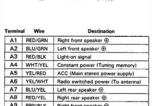 Integra Stereo Wiring Diagram 96 Honda Civic Radio Wiring Diagram Wiring Diagram Centre