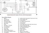 Isuzu Rodeo Stereo Wiring Diagram isuzu Radio Wiring Wiring Diagram Technic
