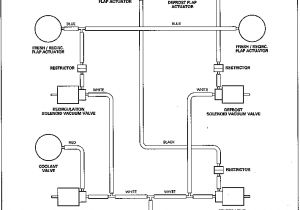 Jaguar Radio Wiring Diagram Electrical System