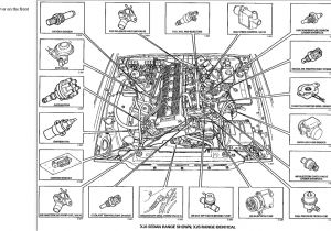 Jaguar X300 Wiring Diagram Jaguar Engine Schematics Use Wiring Diagram