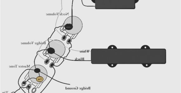 Jazz Bass Pickup Wiring Diagram Fender Jazz Bass Pickup Wiring Diagram Many Fuse21