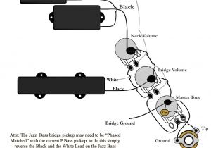 Jazz Bass Wiring Diagram Squier P Bass Wiring Diagram Wiring Diagram
