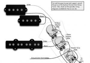 Jazz Bass Wiring Diagram Wiring D