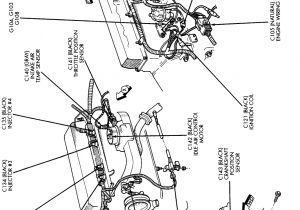 Jeep Tj Wiring Harness Diagram Jeep Wrangler Wiring Harness Diagram for Your Needs Jeep Tj Wiring Harness Diagram Jeep Wrangler Wiring Harness Diagram for Your Needs