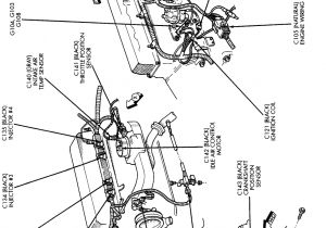 Jeep Tj Wiring Harness Diagram Jeep Wrangler Wiring Harness Diagram for Your Needs