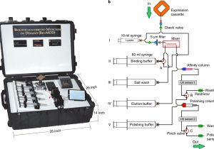 Jensen Wood Furnace Wiring Diagram Point Of Care Production Of therapeutic Proteins Of Good