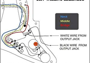 Jimmie Vaughan Strat Wiring Diagram Srv Strat Wiring Diagram Wiring Diagram Fascinating Jimmie Vaughan Strat Wiring Diagram Srv Strat Wiring Diagram Wiring Diagram Fascinating