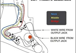 Jimmie Vaughan Strat Wiring Diagram Srv Strat Wiring Diagram Wiring Diagram Fascinating