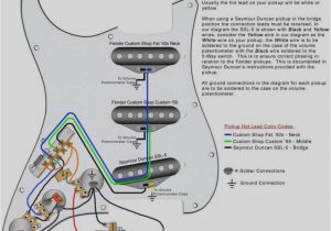 Jimmie Vaughan Strat Wiring Diagram Vaughan Wiring Diagram Wiring Diagram Article Review Jimmie Vaughan Strat Wiring Diagram Vaughan Wiring Diagram Wiring Diagram Article Review