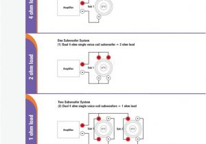 Jl Audio Jx1000 1d Wiring Diagram Jl Audio Jx1000 1d 2 Subwoofer 2ohm Wiring Diagram Jl Audio Jx1000 1d Wiring Diagram Jl Audio Jx1000 1d 2 Subwoofer 2ohm Wiring Diagram
