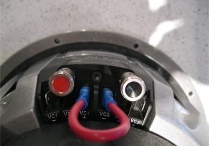 Jl Audio W6v2 Wiring Diagram Jl W6 Wiring Diagram Wiring Library