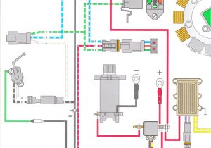 Johnson 115 Outboard Wiring Diagram 96 Oceanrunner 115 Tilt Trim Problem Page 1 Iboats Johnson 115 Outboard Wiring Diagram 96 Oceanrunner 115 Tilt Trim Problem Page 1 Iboats