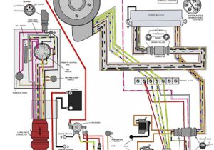 Johnson 35 Hp Outboard Wiring Diagram 1969 Evinrude 5 Hp Wiring Diagram Fokus Repeat24 Klictravel Nl