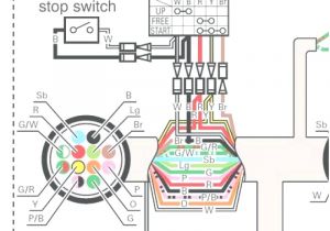 Johnson Outboard Ignition Switch Wiring Diagram Johnson Outboard Ignition Switch Wiring Diagram New Ignition Key