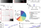 Juicebox Pro 40 Wiring Diagram Improved Reference Genome Of Aedes Aegypti Informs Arbovirus