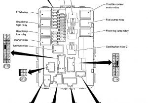 Ka24de Wiring Diagram 89 S13 Fuse Box Wiring Diagram Centre