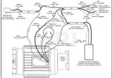 Karcher Pressure Washer Wiring Diagram Steam Cleaner Wiring Diagram Wiring Diagram List